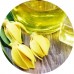 Ylang Ylang E/O: Vital Herb